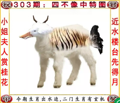 QQ图片20261030105417_副本.png